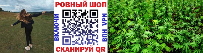 Купить закладку Новоржев Гашиш  А ПВП  Кокаин  Мефедрон  Бошки Шишки 