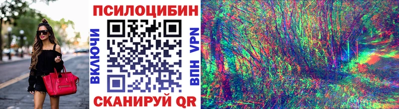 где купить наркоту  Новоржев  Псилоцибиновые грибы GOLDEN TEACHER 